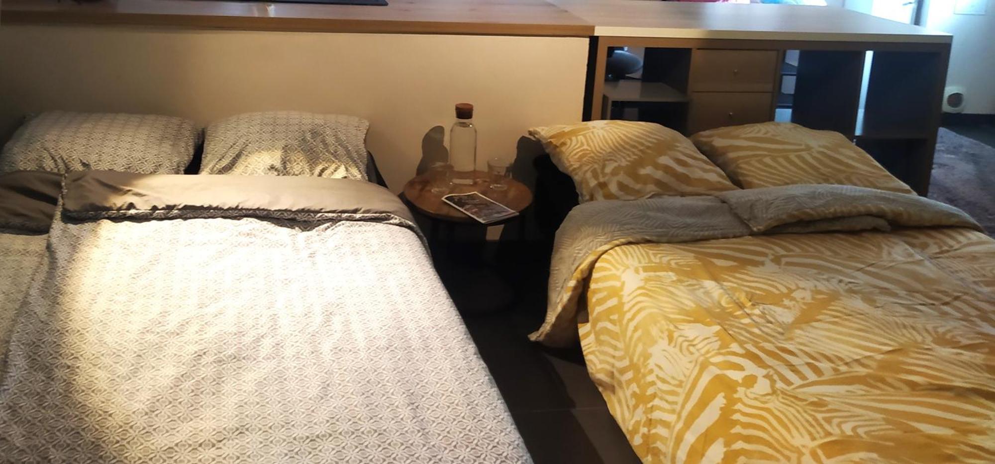 Spacieux Appartement Au Calme 15Min Sud De Lyon Proche Metro Et Gare Confluence Aquarium Gerland 隆河省 外观 照片